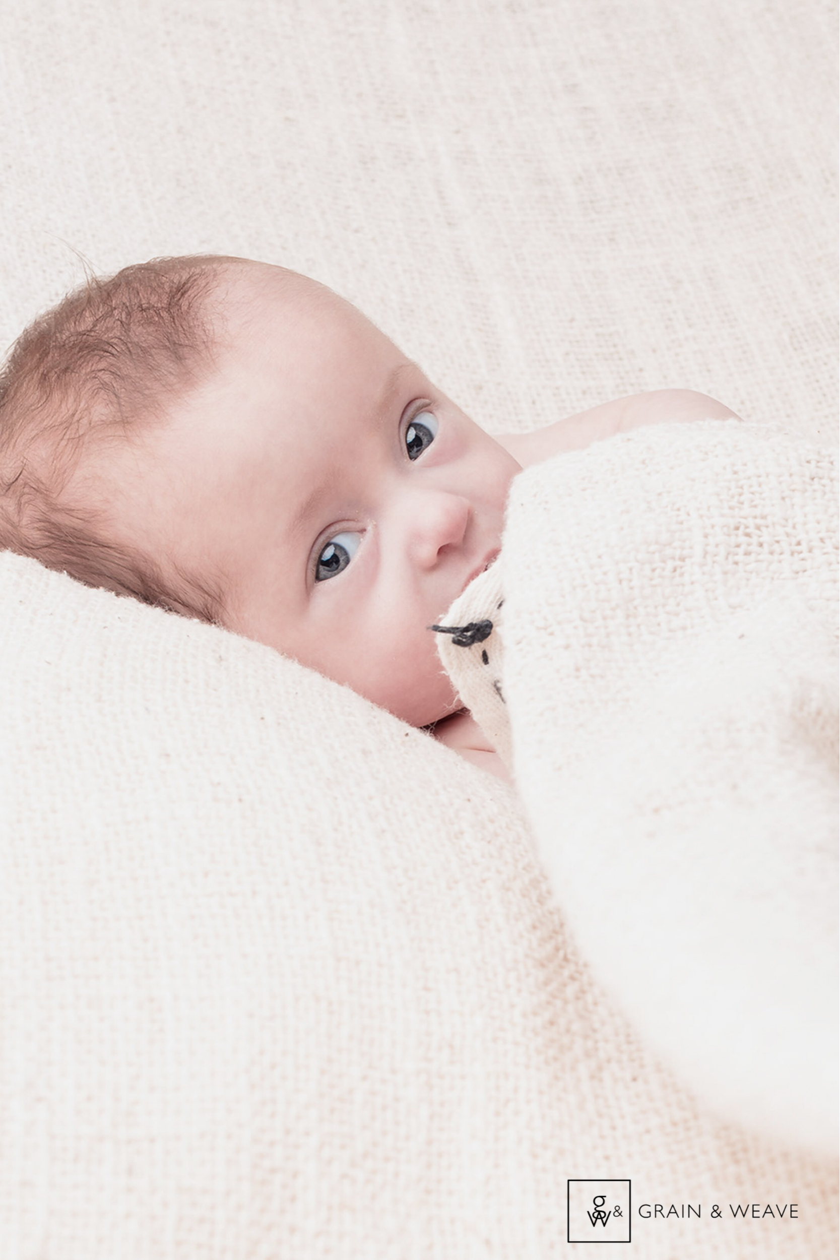 sydney-photographer-baby-family00003.PNG