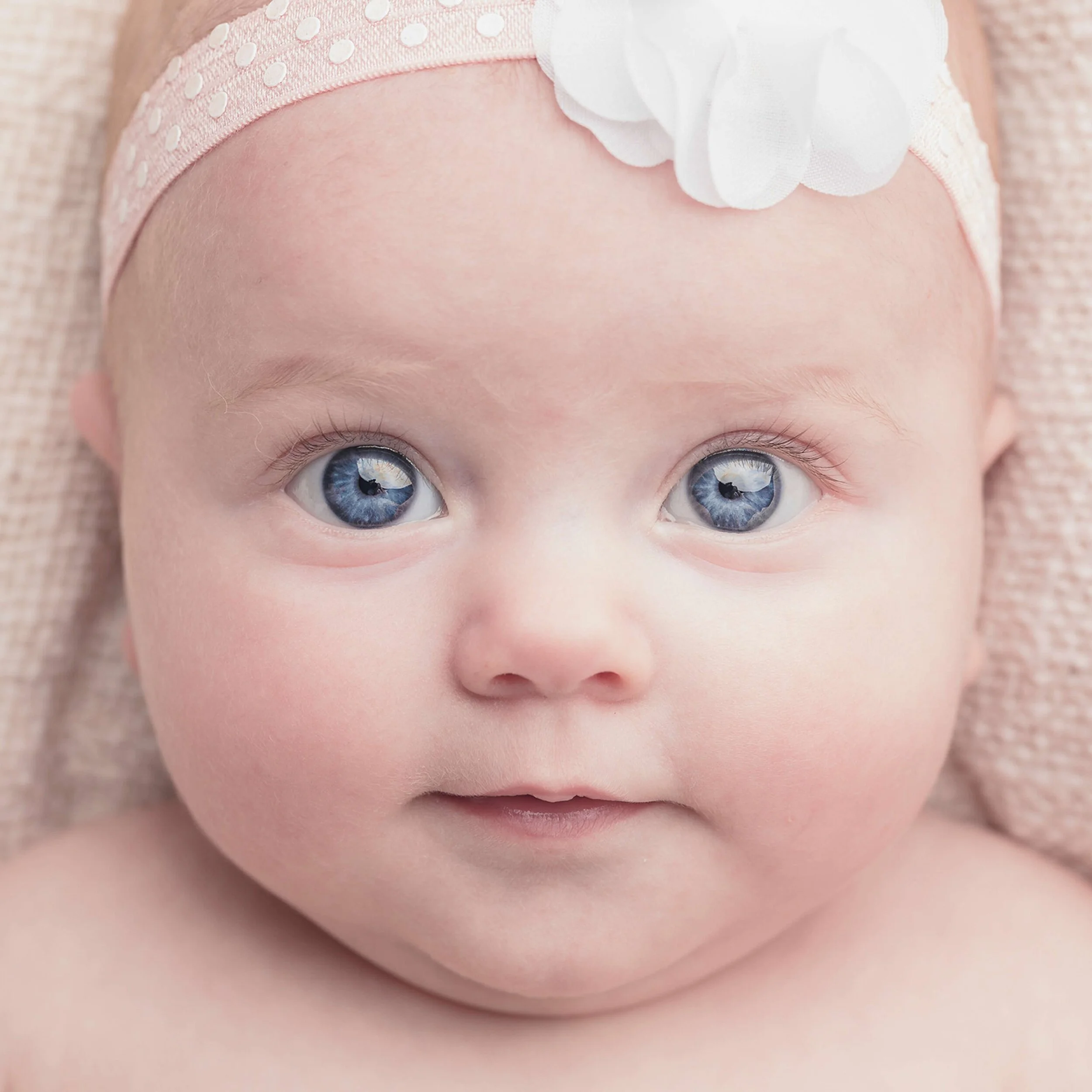 Newborn Family Photography Sydney Home - Grain and Weave00084.jpg