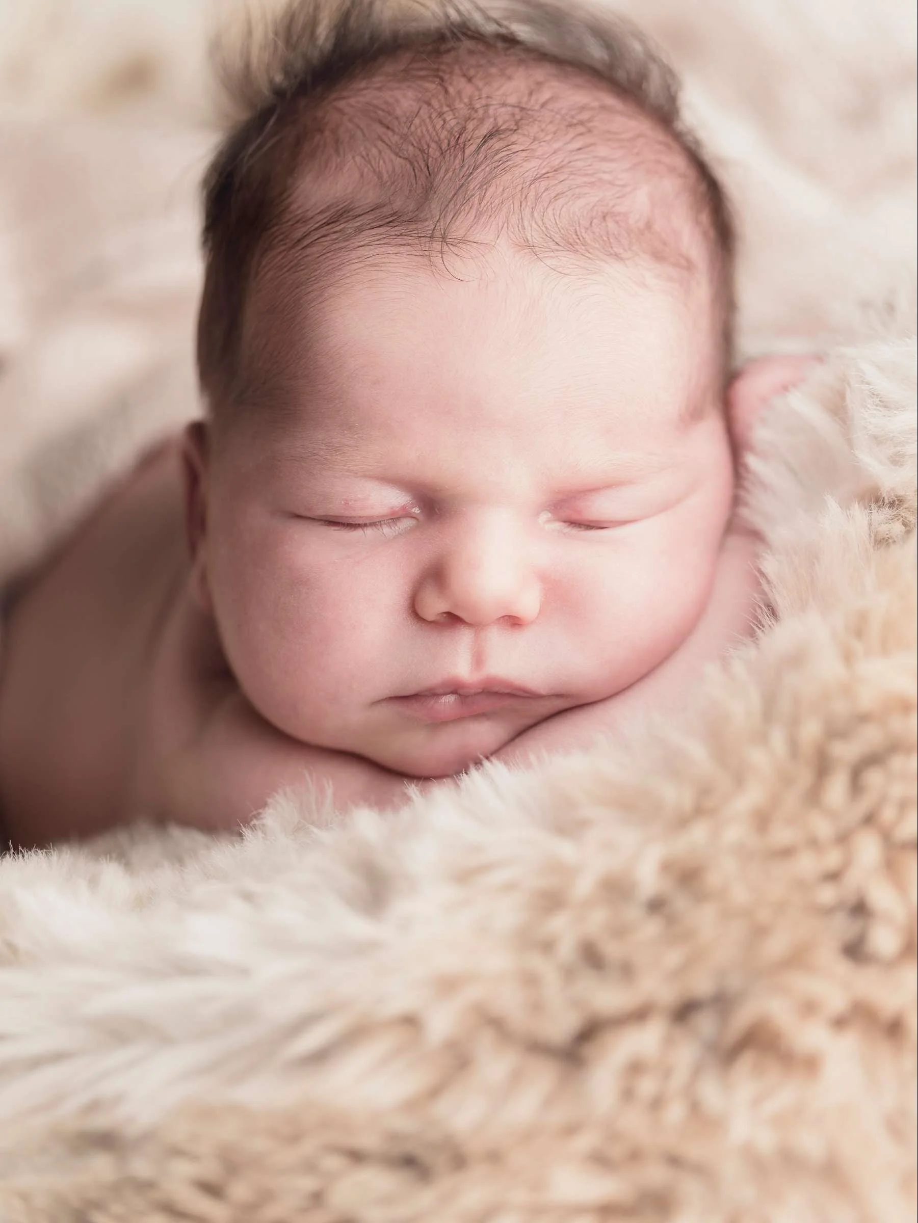 Newborn Family Photography Sydney Home - Grain and Weave00018.jpg