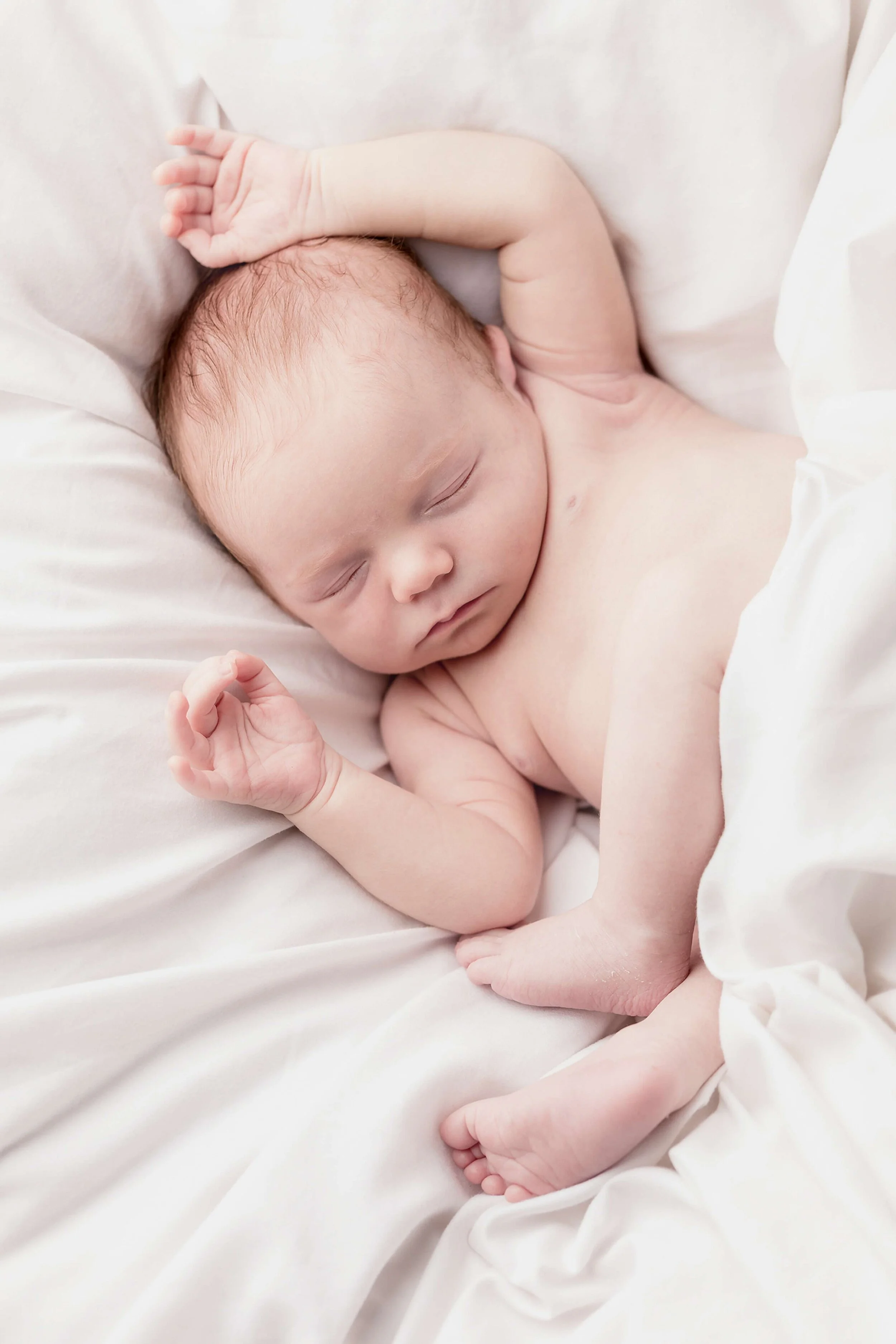 Newborn Family Photography Sydney Home - Grain and Weave00035.jpg