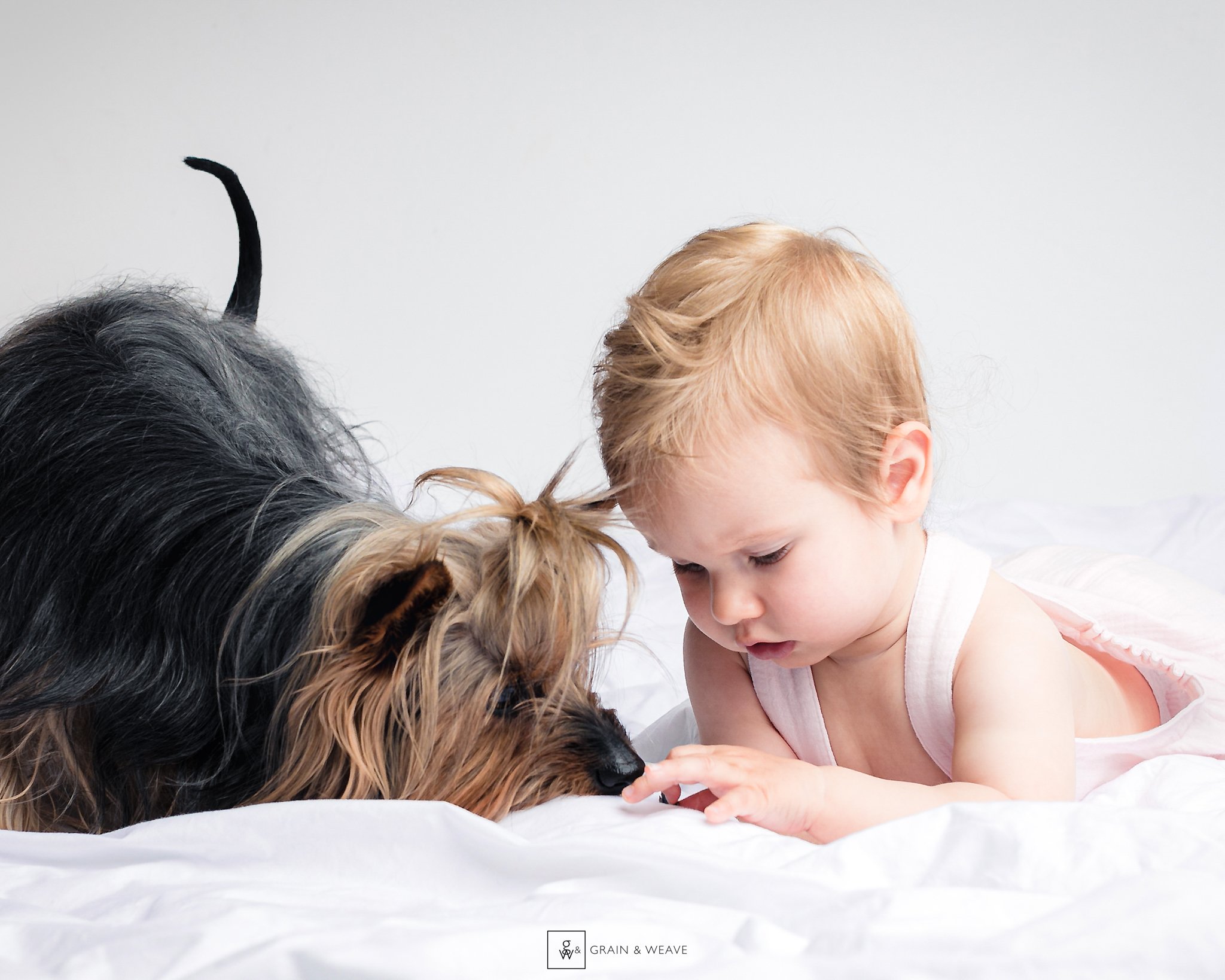 Baby and Fur-Baby Photos Captured at Home!