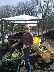 Turtle Bay Volunteer