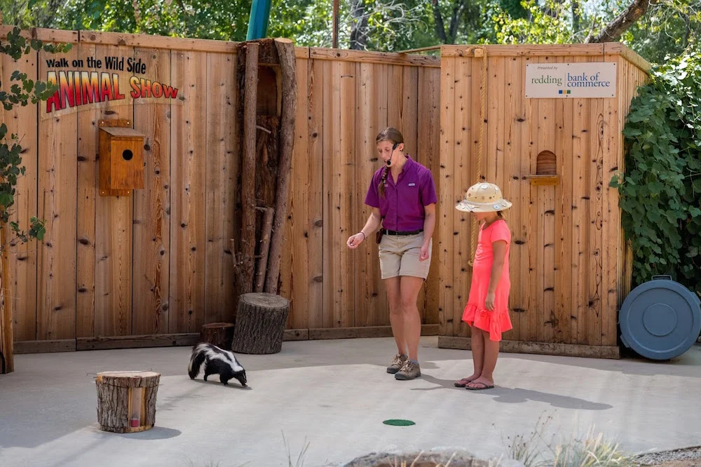 Turtle Bay Animal Show Redding California.jpg