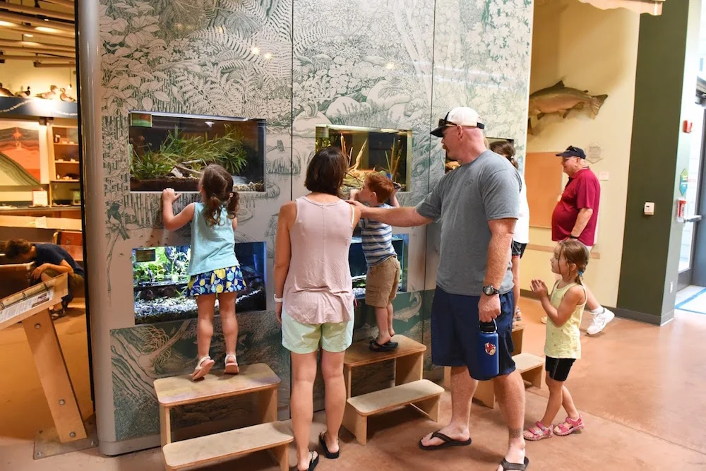 Turtle Bay Redding Museum.jpg