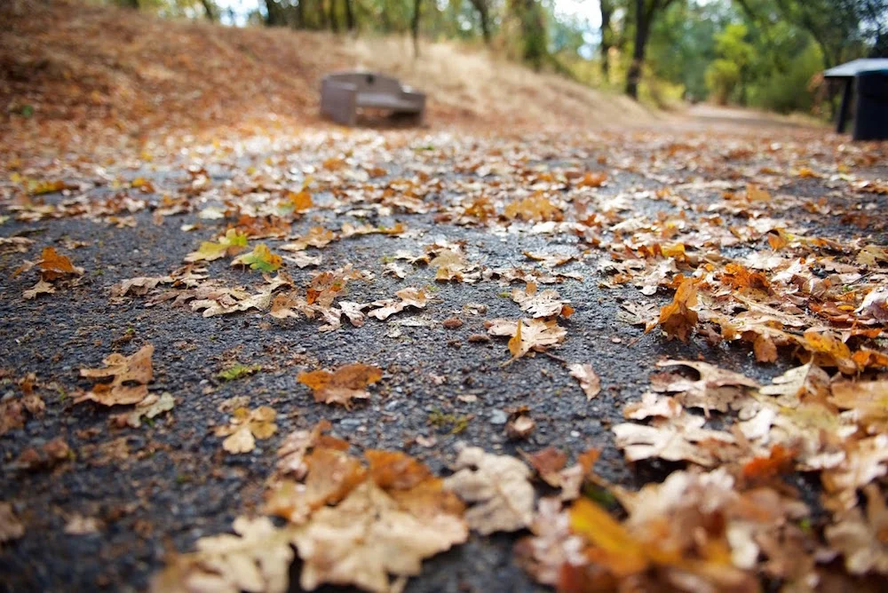 Turtle Bay Trails Redding California.jpg