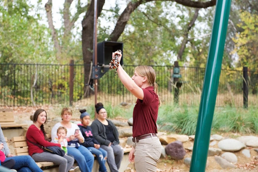 Turtle Bay Survival Animal Show.jpg