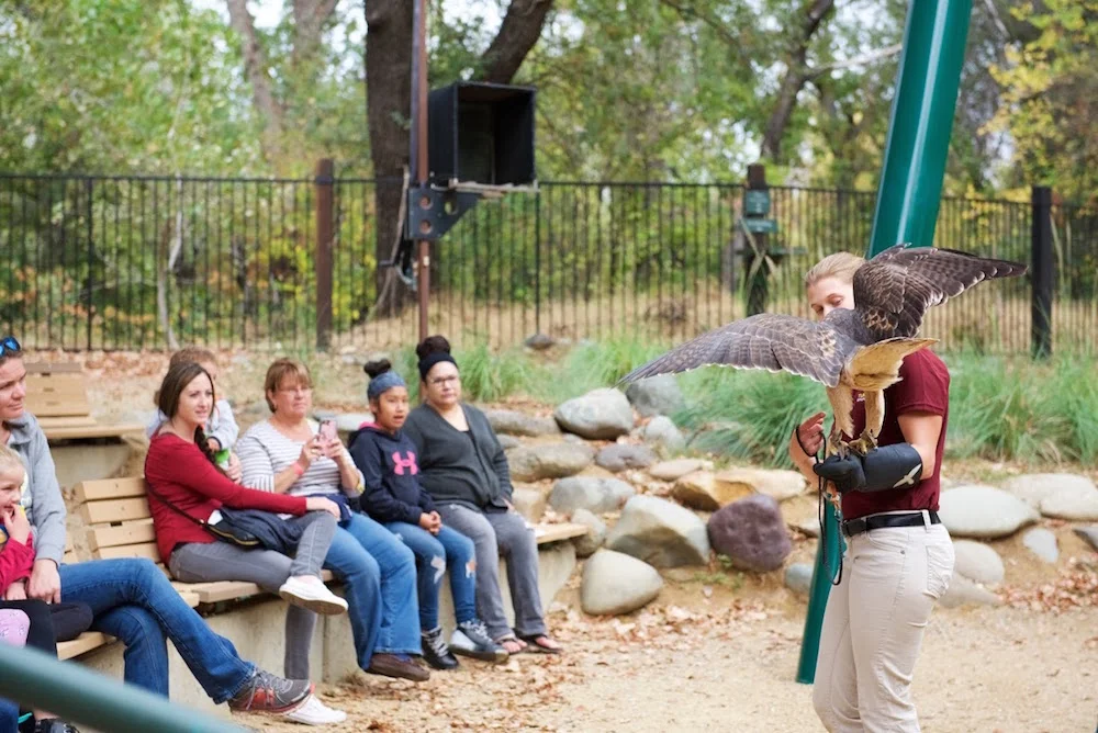 Redding California Animal Show.jpg