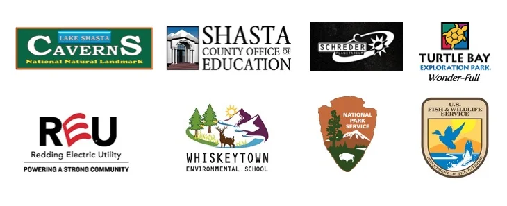 logos2.jpg