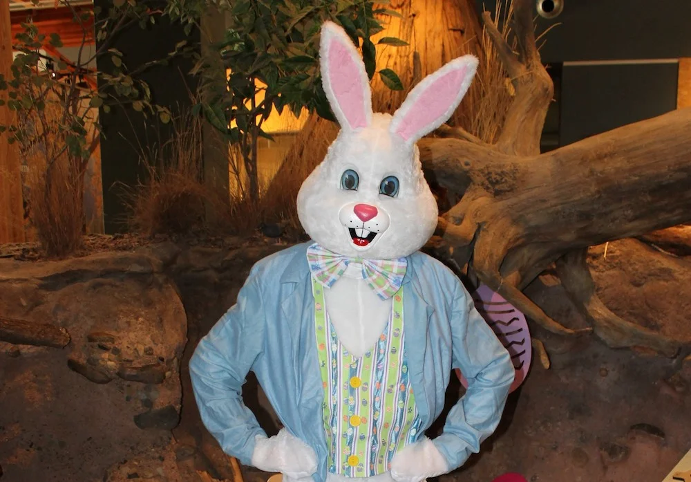 Turtle Bay Easter Bunny.jpg