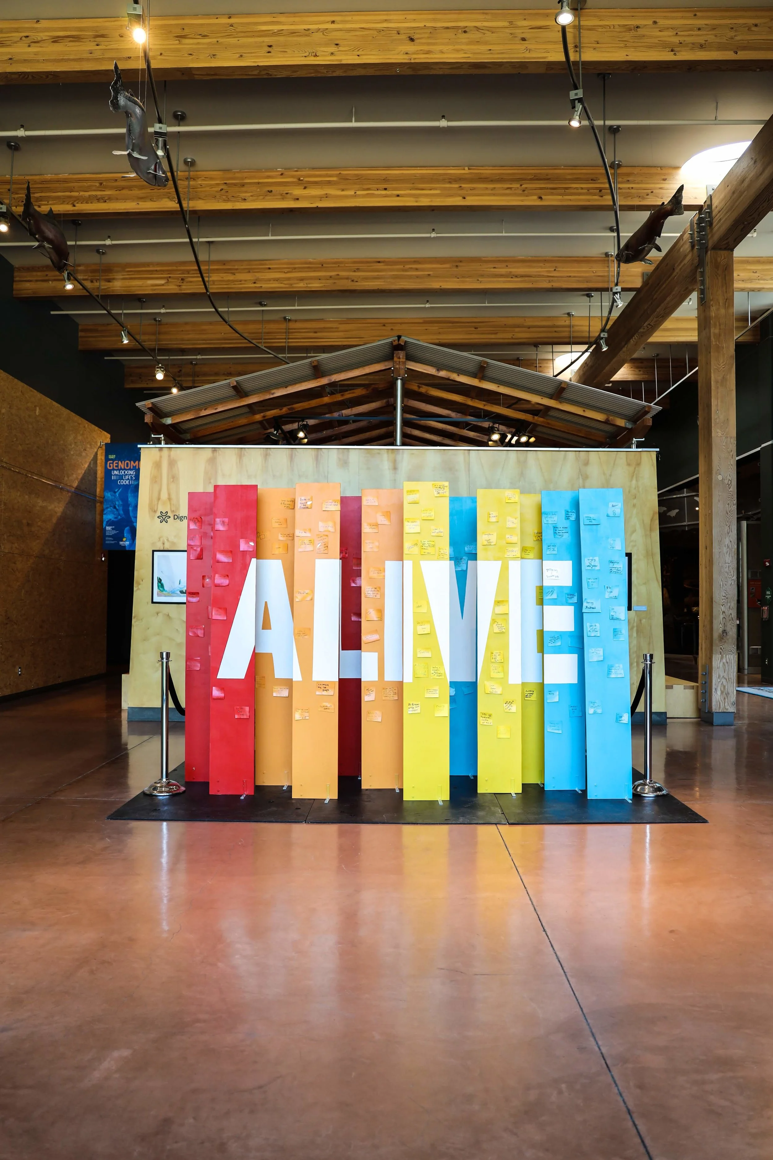 When Was the Last Time You Felt Alive?