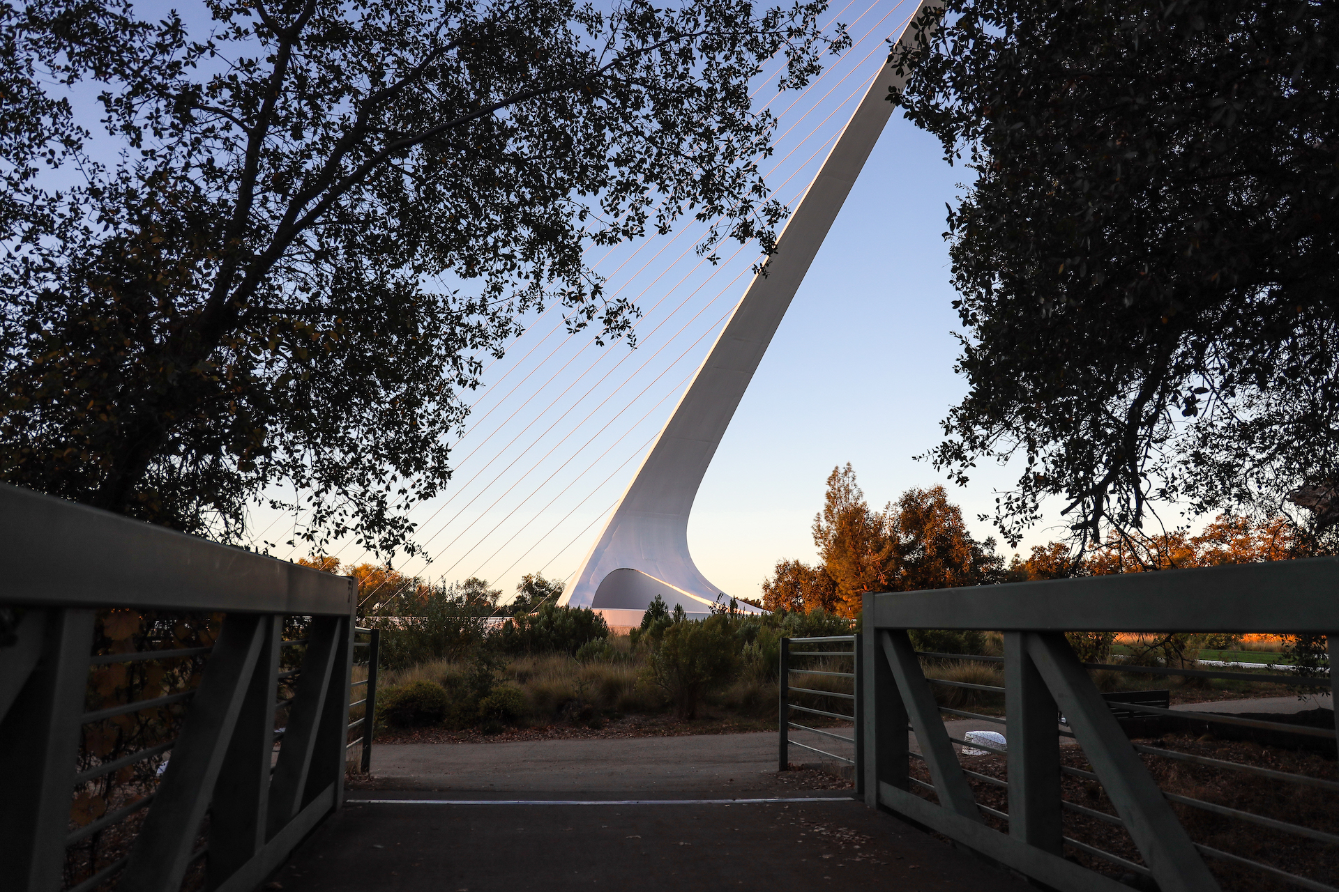 Redding City Identity Project