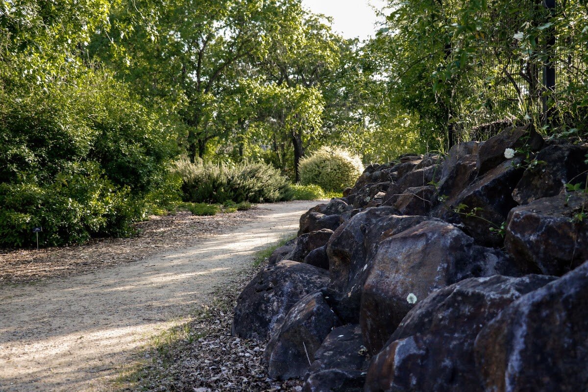 Visit Redding Sundial Bridge Move to Travel Turtle Bay Exploration Park Museum Animals Gardens Arboretum Botanical 15.jpg