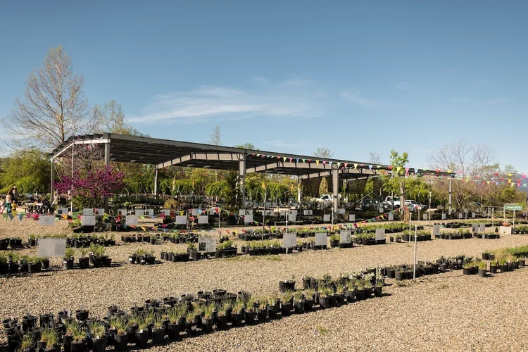 Garden Nursery Turtle Bay