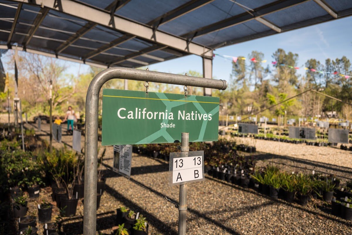 Turtle Bay Garden Nursery Plants Drought Tolerant California Native Plants Visit Redding Sundial Bridge 12.jpg