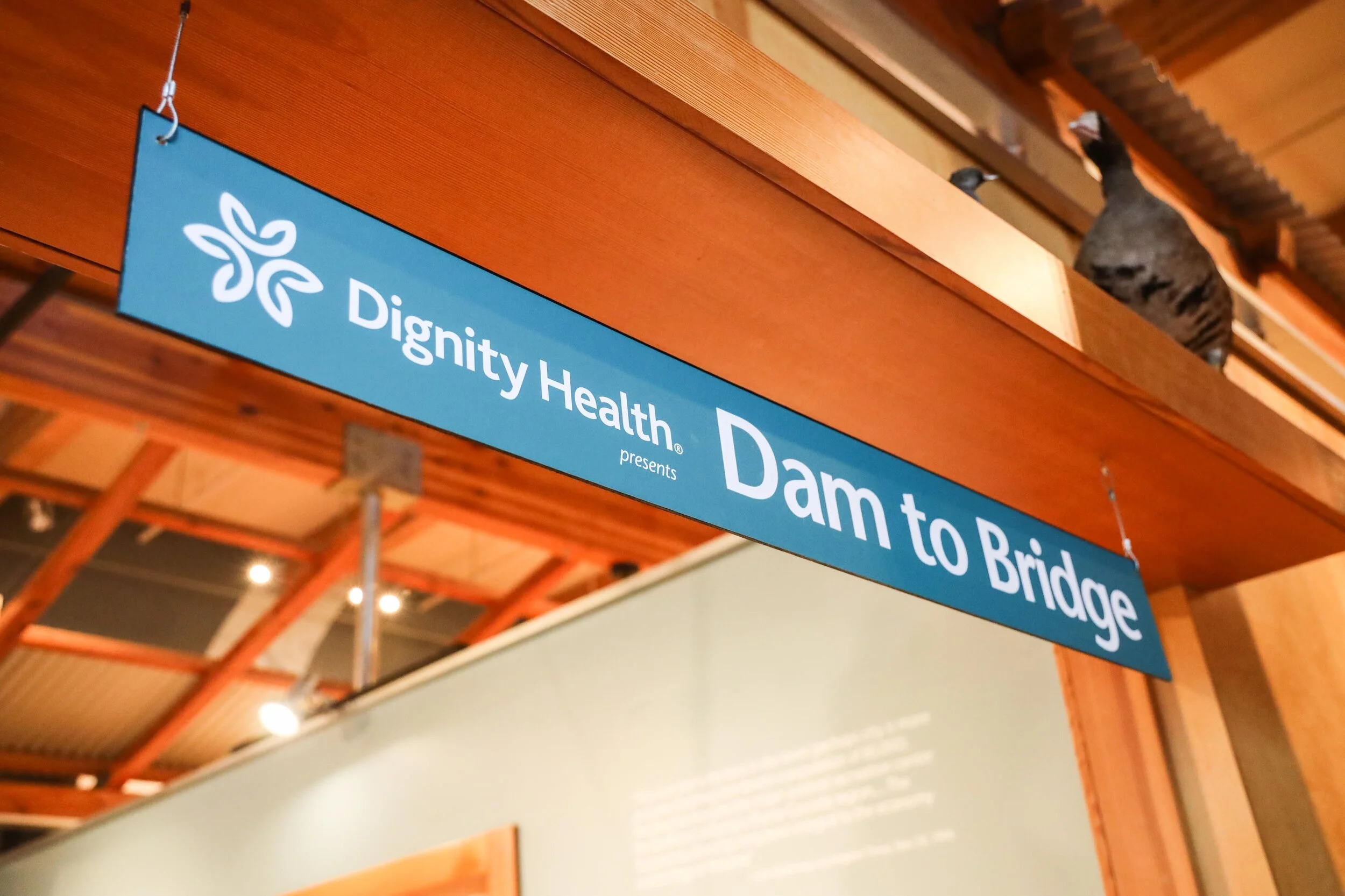 Dam to Bridge Exhibition