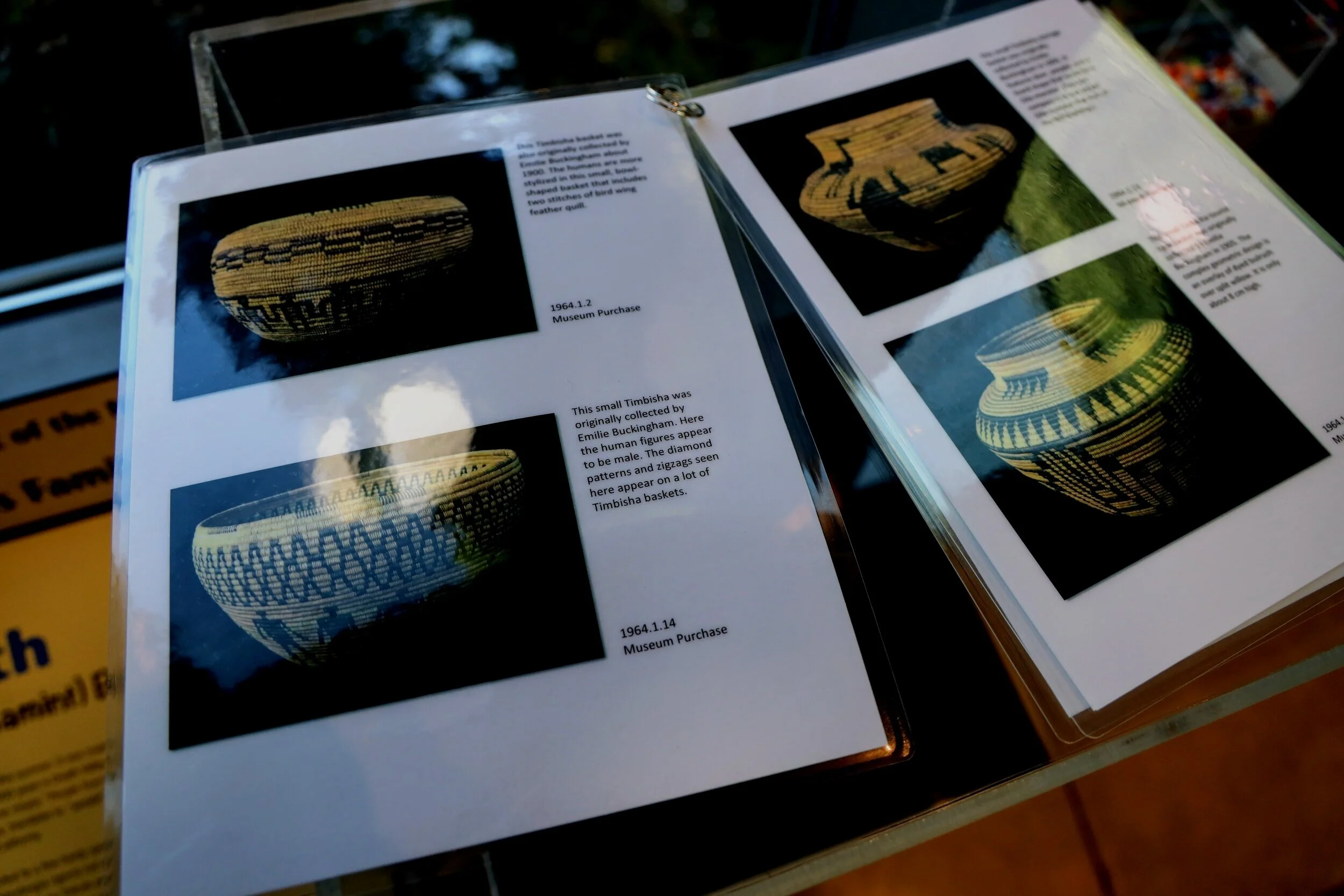 Artifact of the Month: Timbisha Shoshone (Panamint) Basket