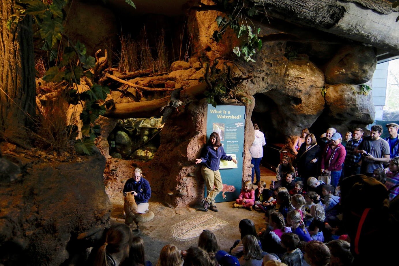 Turtle Bay Animals Beaver Timber Tour Wildlife Park Redding Zoo Animal Mill Building Aquarium.jpg