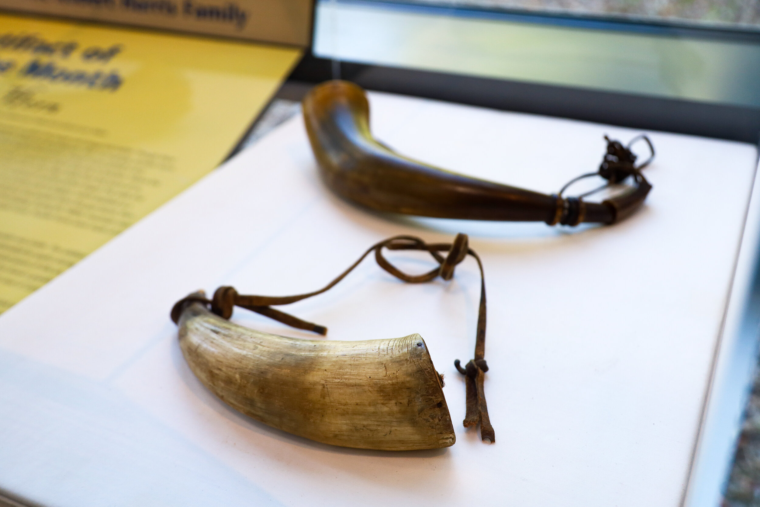 Artifact of the Month: Powder Horn — Turtle Bay