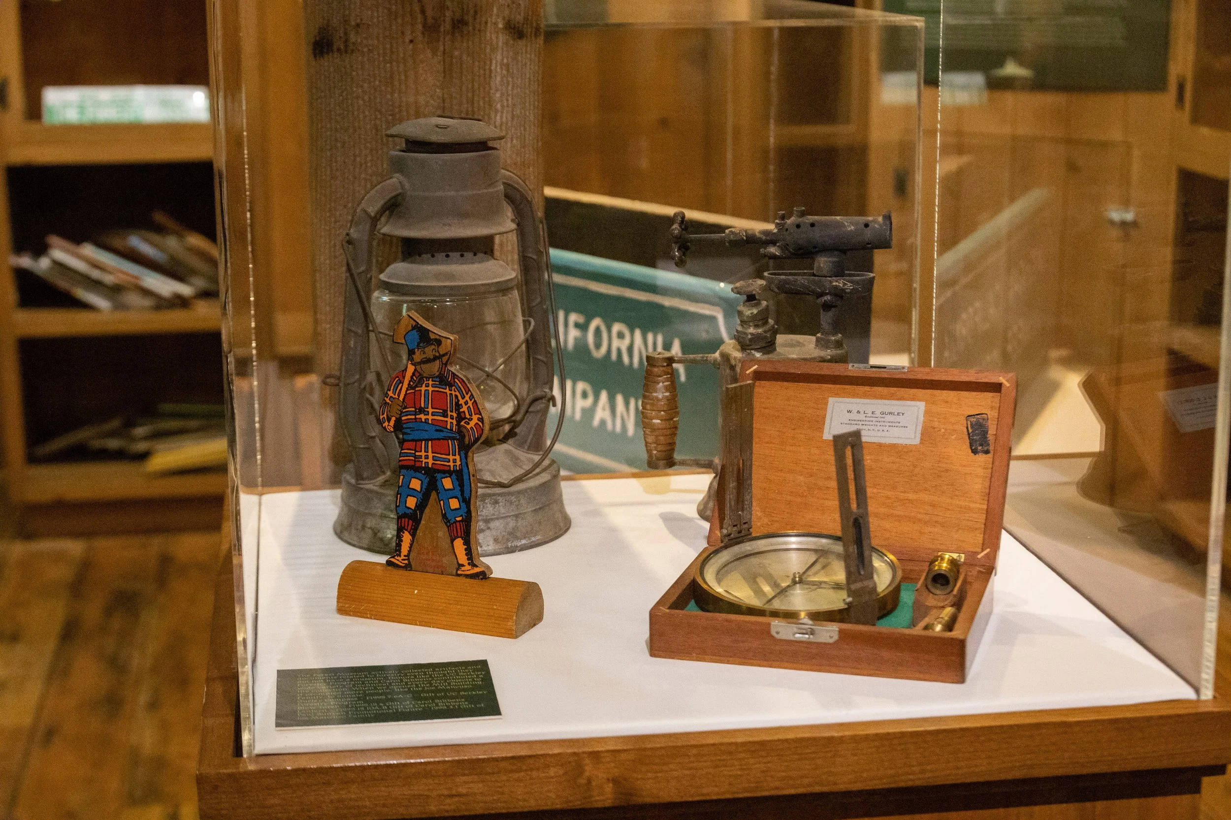 25 Years of Forest Fun: New Exhibit in Mill Building