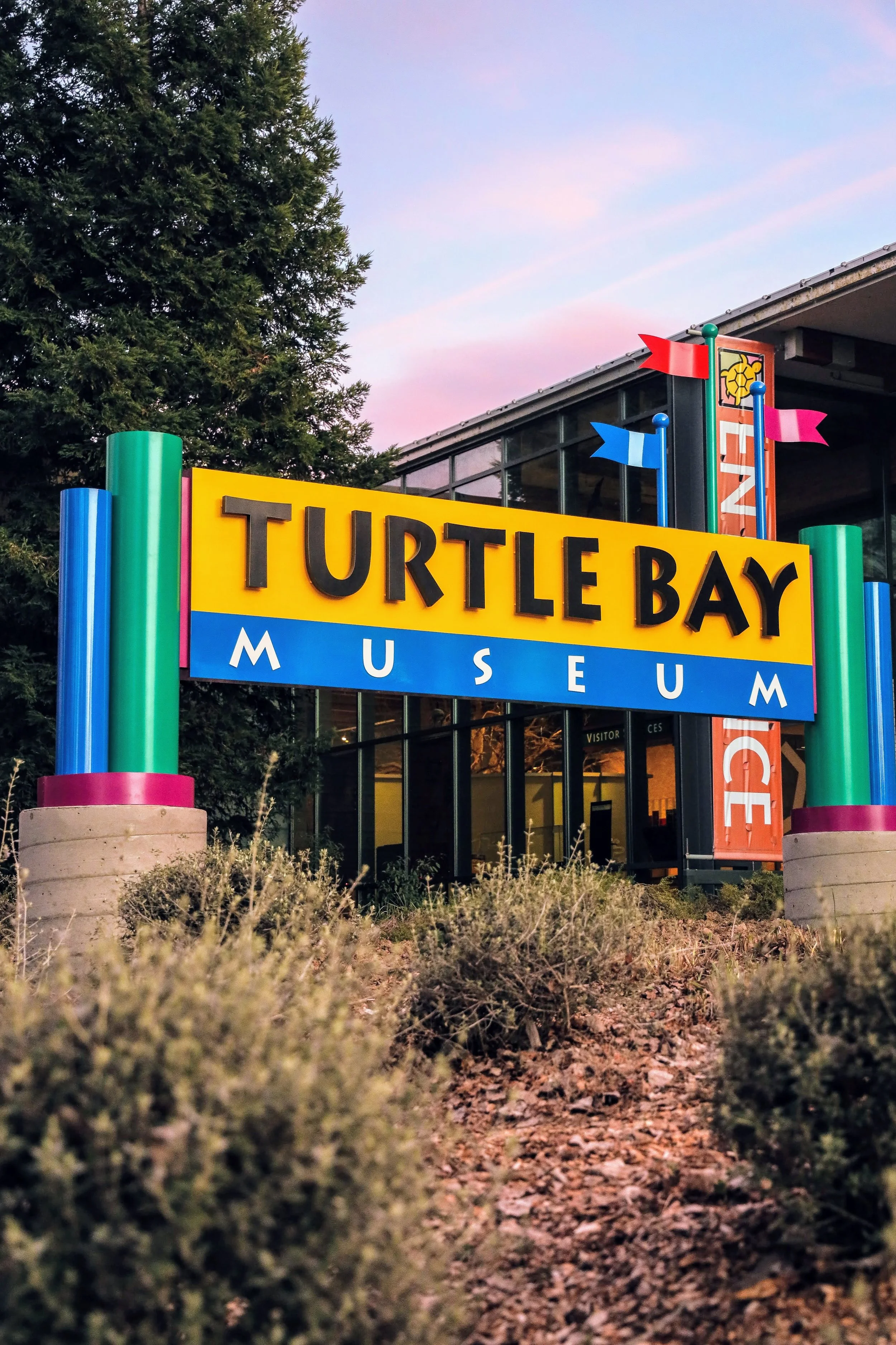 Turtle Bay: 20 Years and Counting