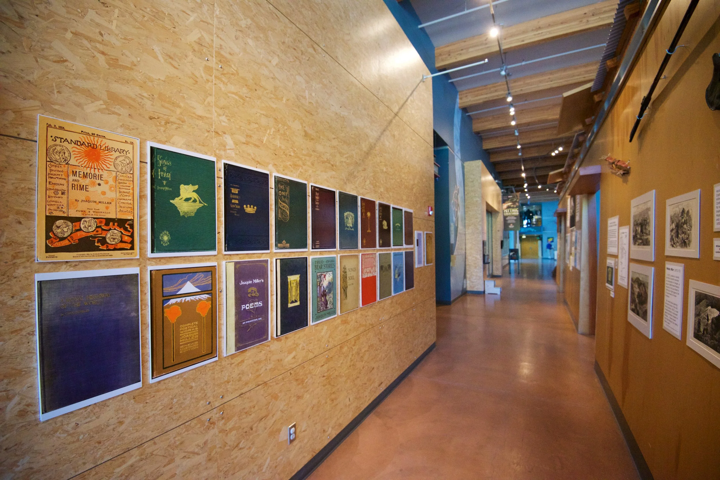 At Your Own Pace: Turtle Bay’s Sensory Hour