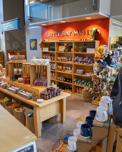 Museum Store — Turtle Bay