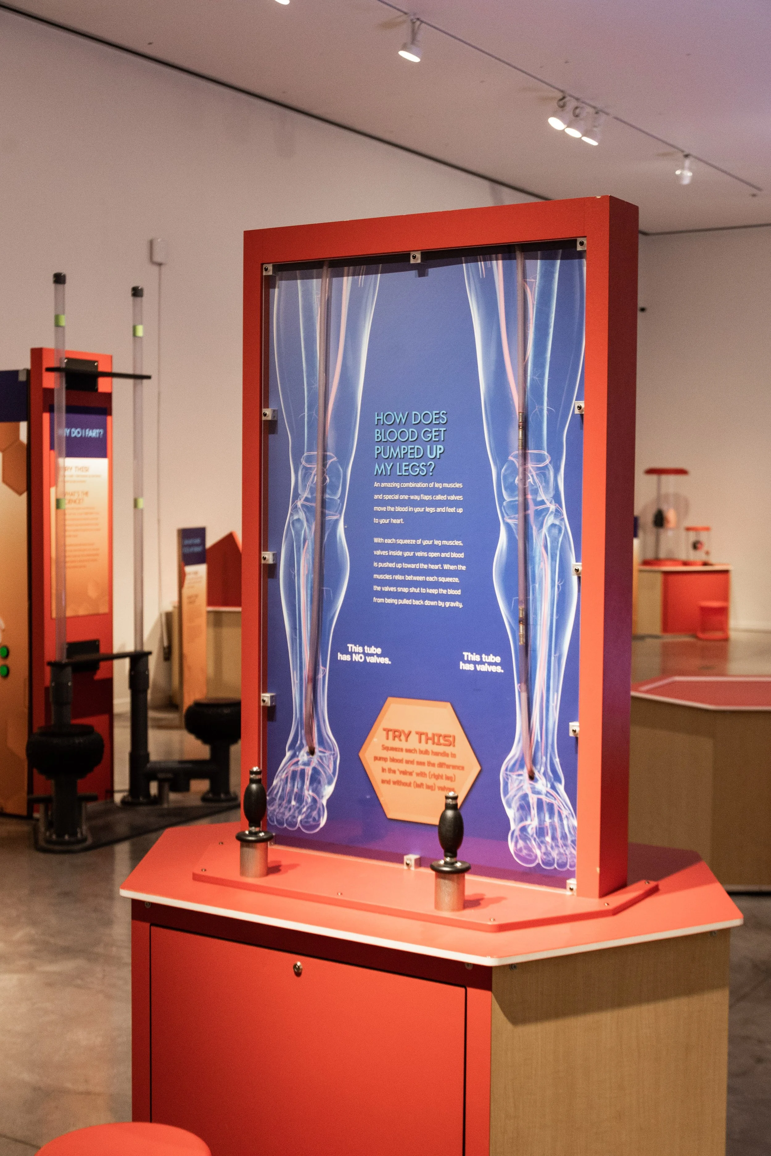 Magnificent Me: An Interactive Museum Exhibition