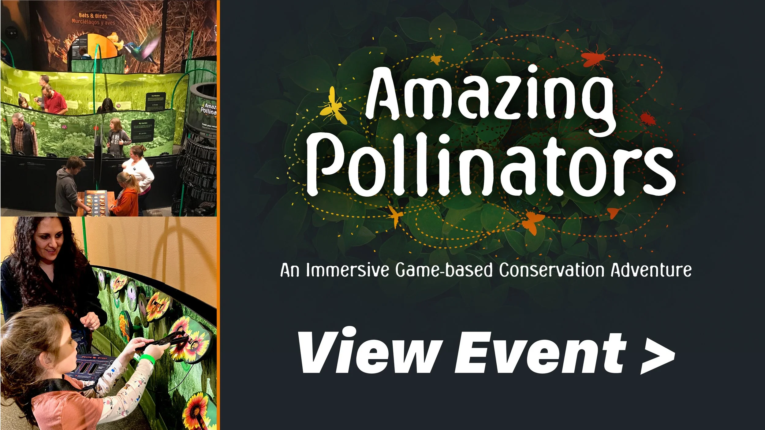2023_Amazing Pollinators Web Slider.jpg