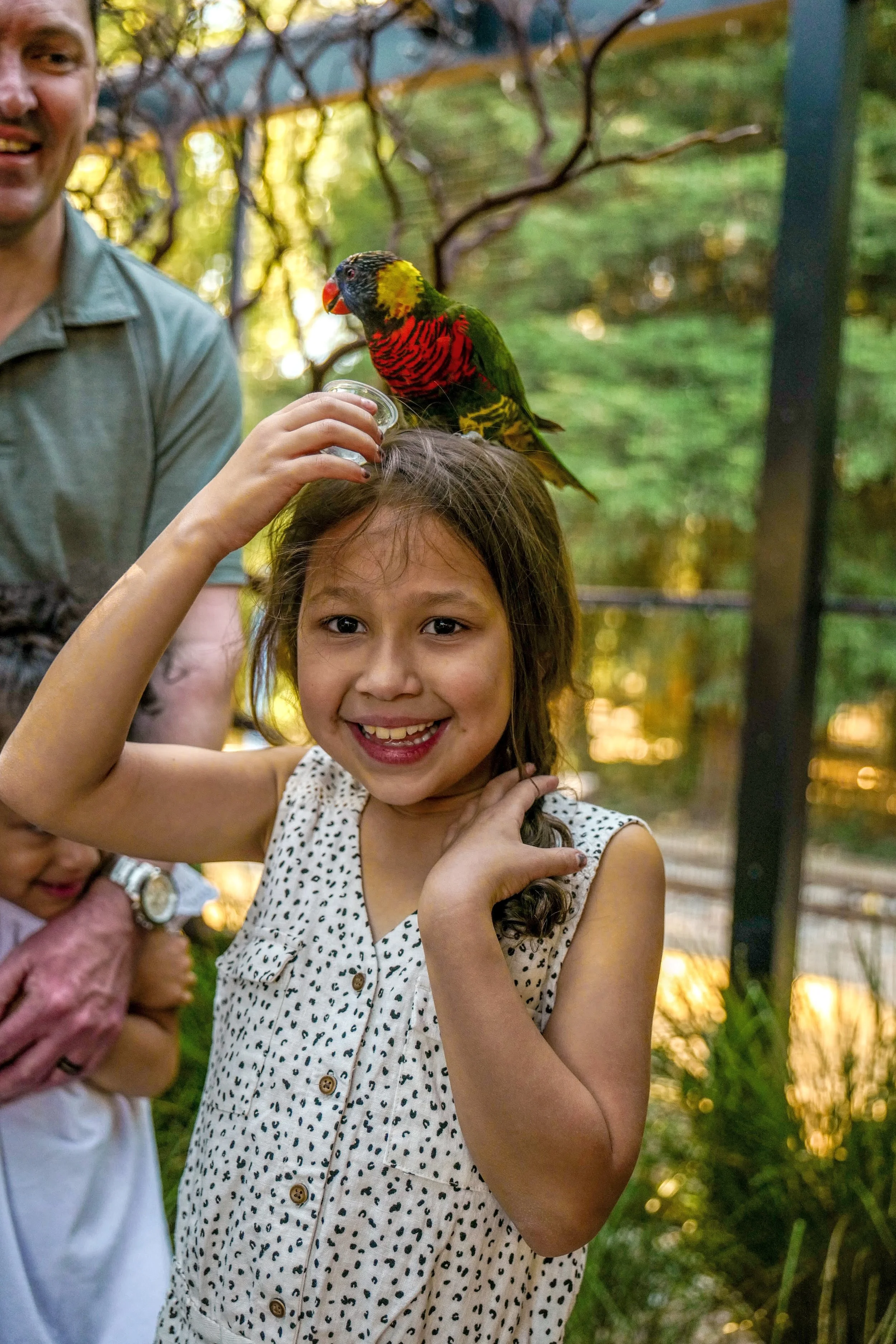 Animals 2 — Turtle Bay