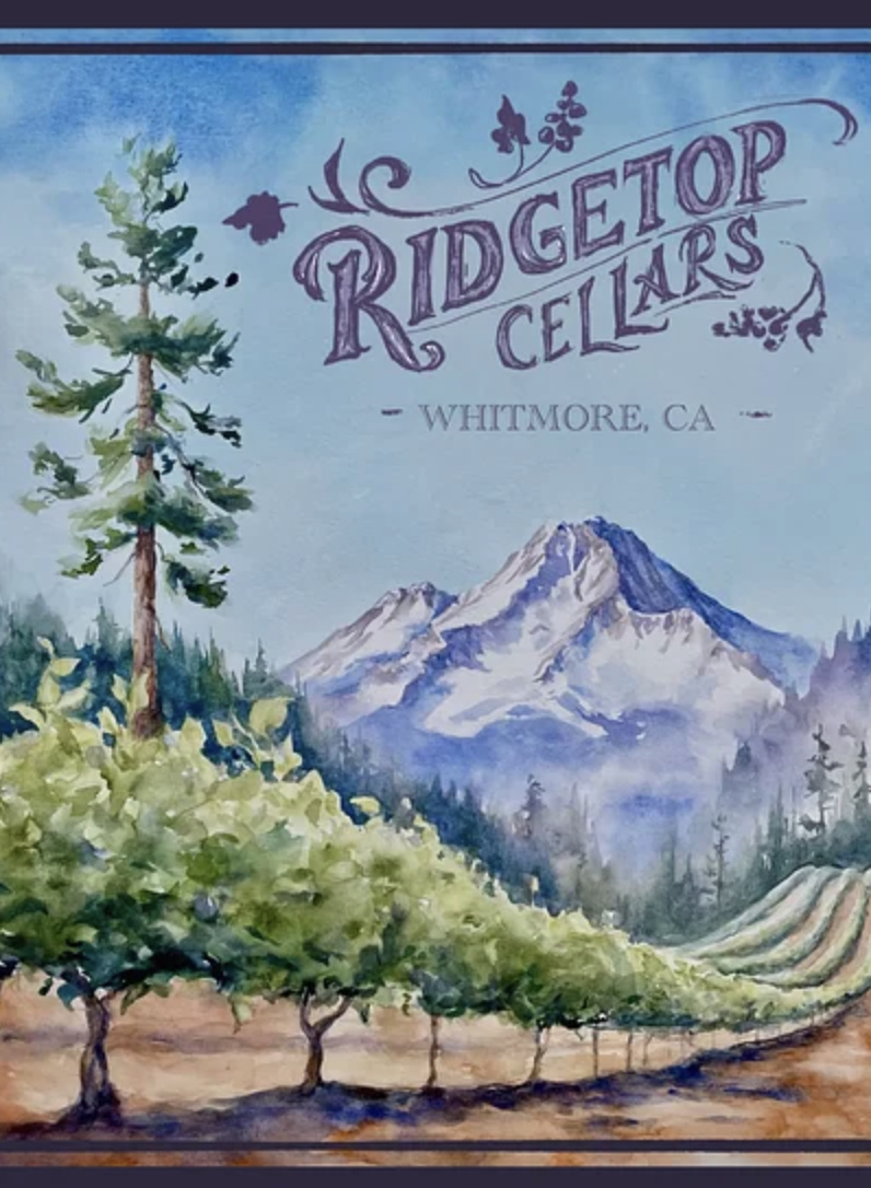 Screenshot 2023-10-20 at 11.46.13 AM.png