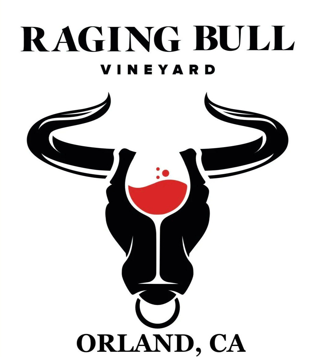 Raging+Bull.png