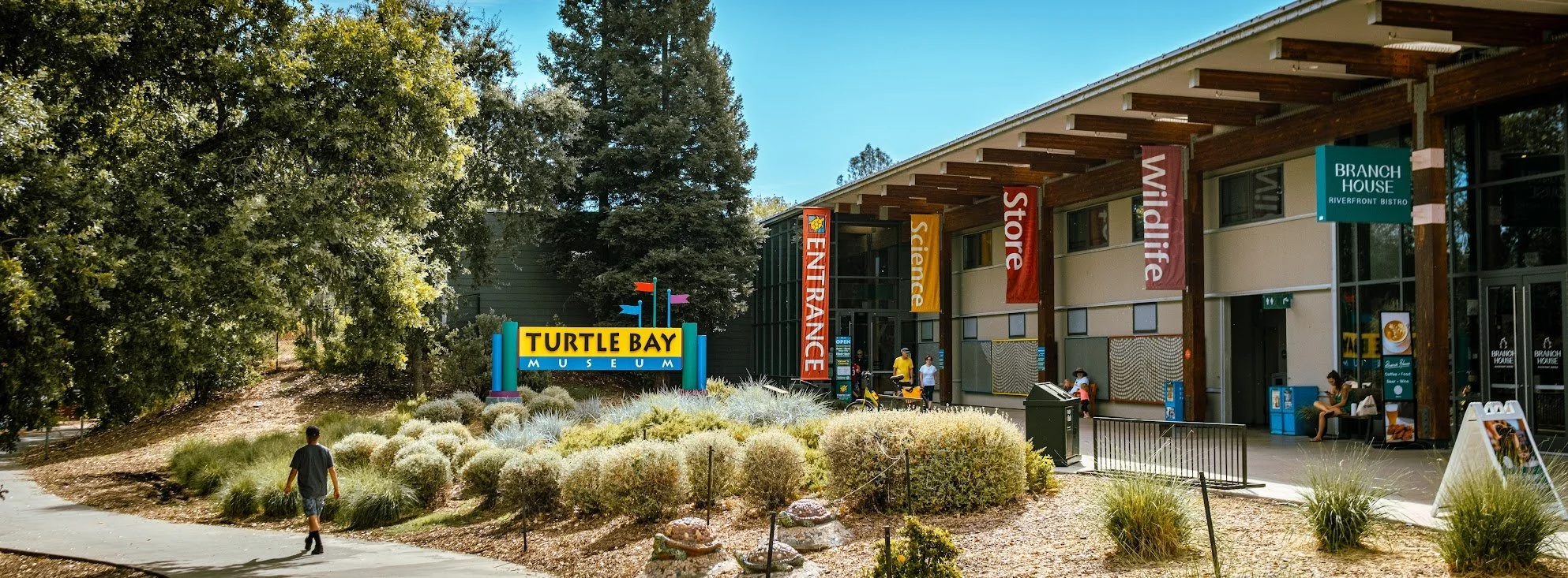Turtle Bay Museum .jpg