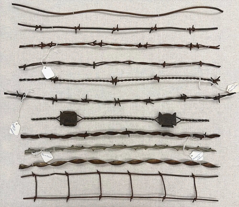 Barnacle Rope Artifact of the Month - The Devil's Rope — Turtle Bay