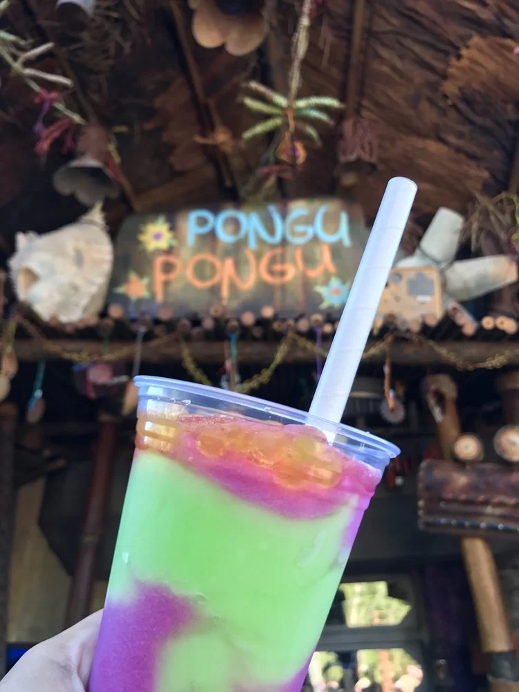 Pandora- The World of Avatar Opening Day