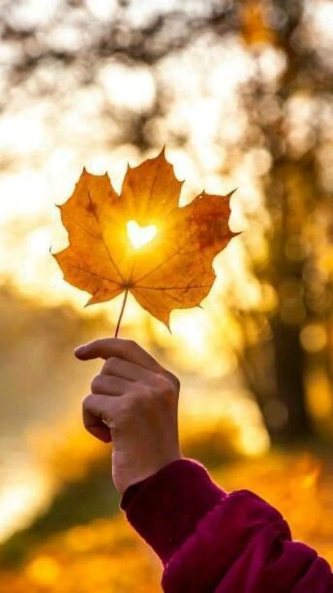 Drop-In Activities 4pack