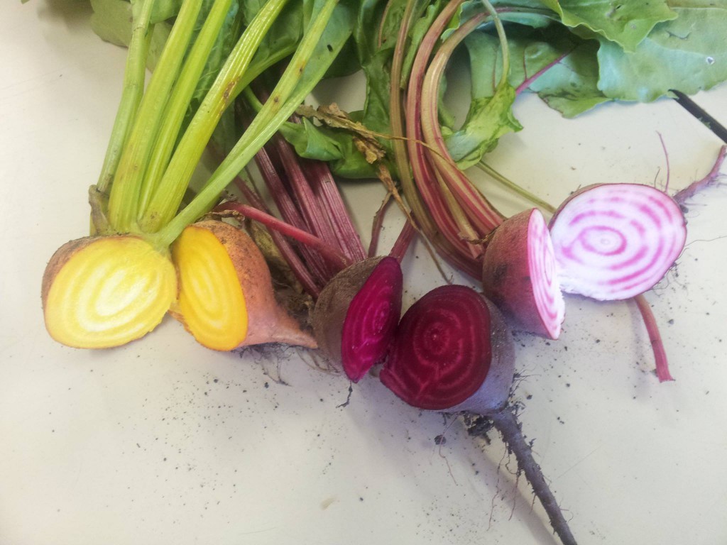 Beetroot
