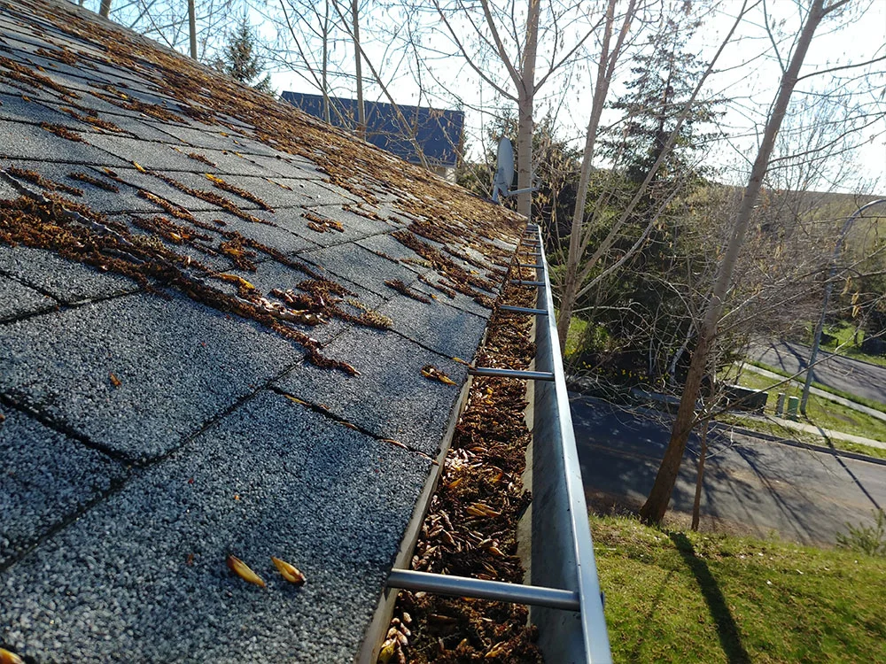 Above: Clogged gutters caused by leaves and moss can contribute to ice damming and gutter overflows.