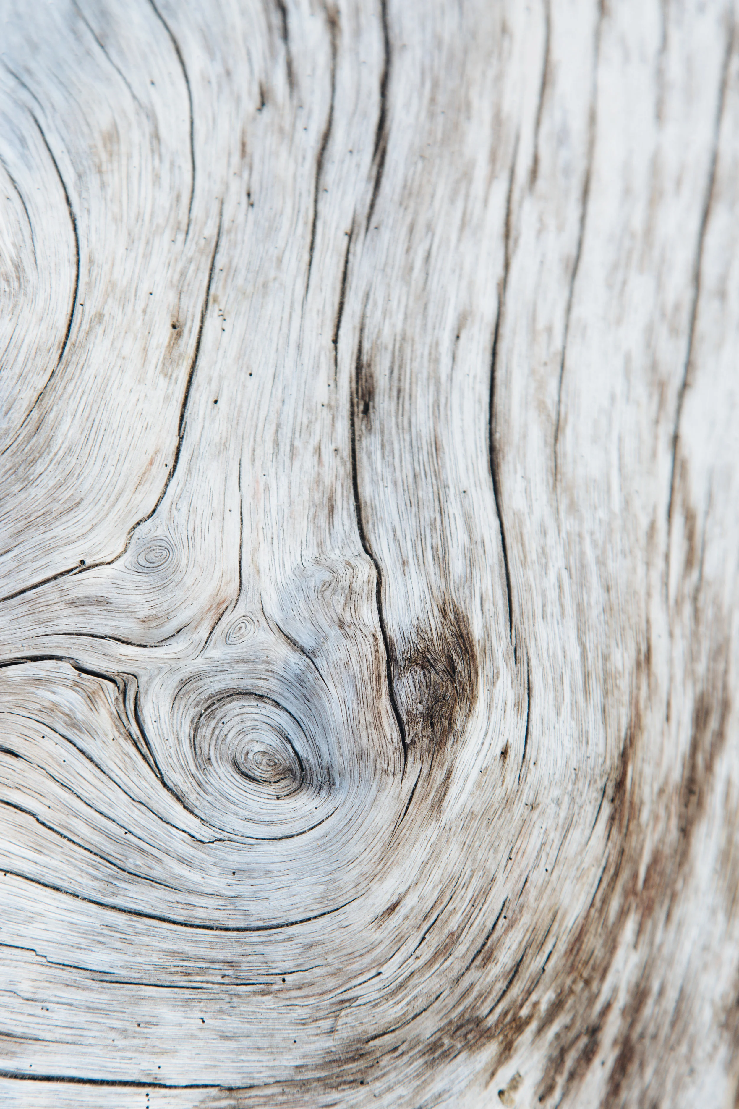 Langkawi-drift-wood.jpg