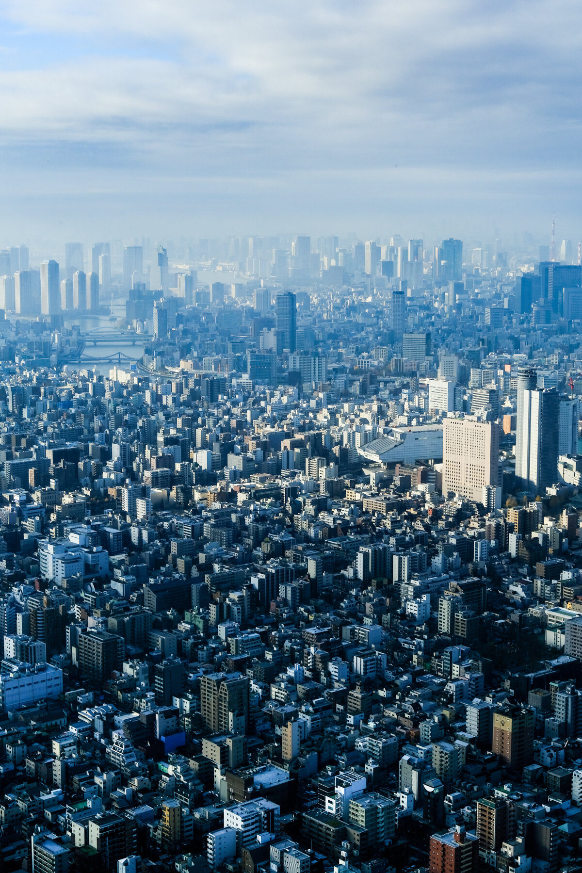 Tokyo-Cityscape.jpg