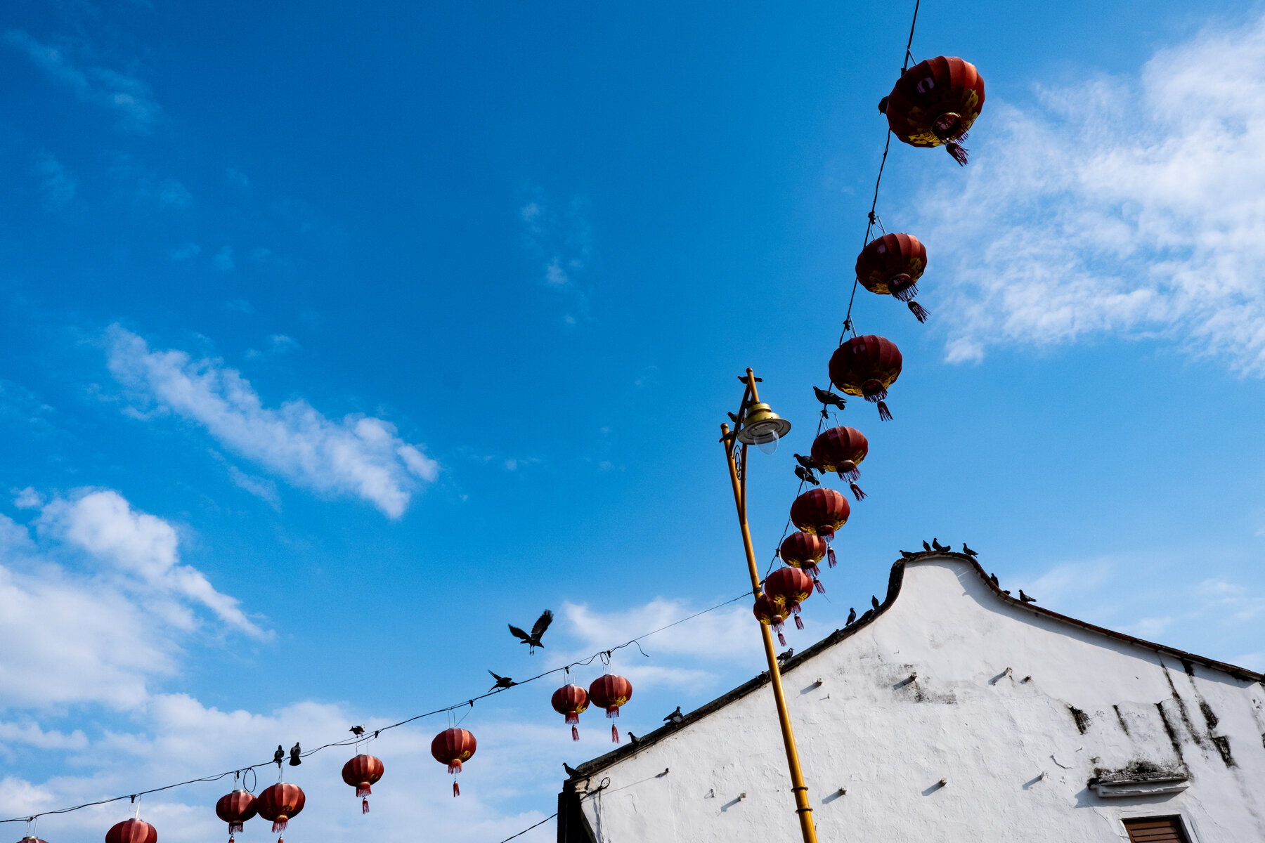 penang-lanterns.jpg