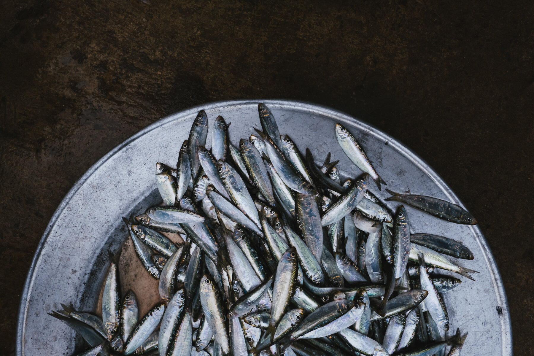 Vietnam-fresh-fish.jpg