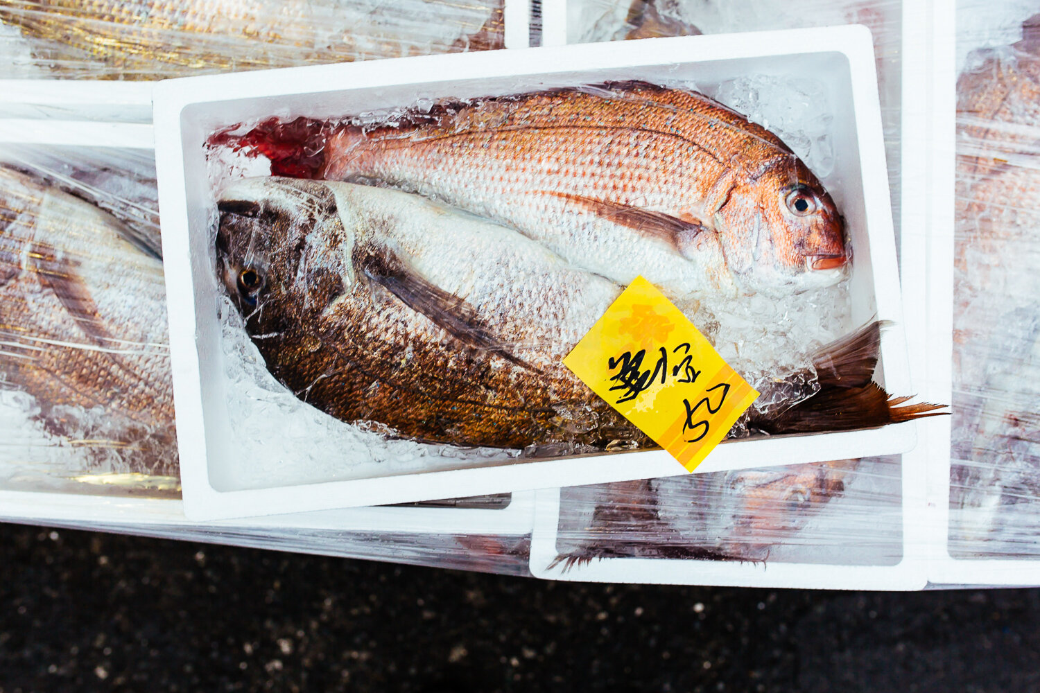 Tokyo-tsukiji-fish-shipping.jpg