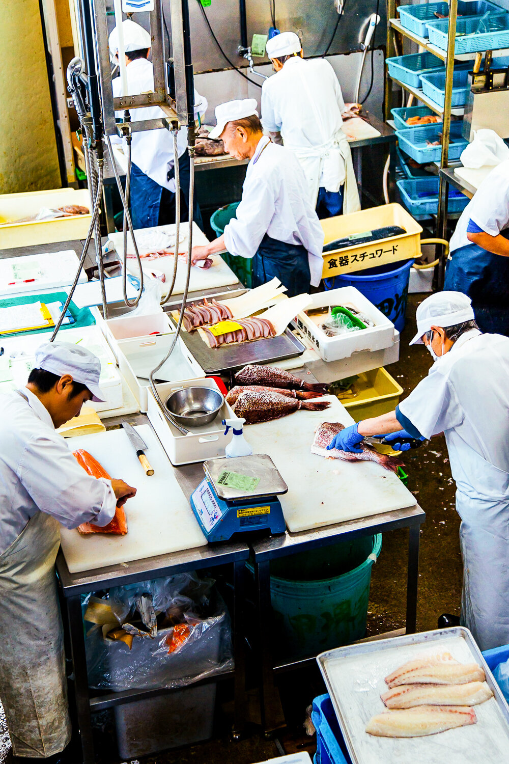 Tokyo-tsukiji-market-shipping.jpg