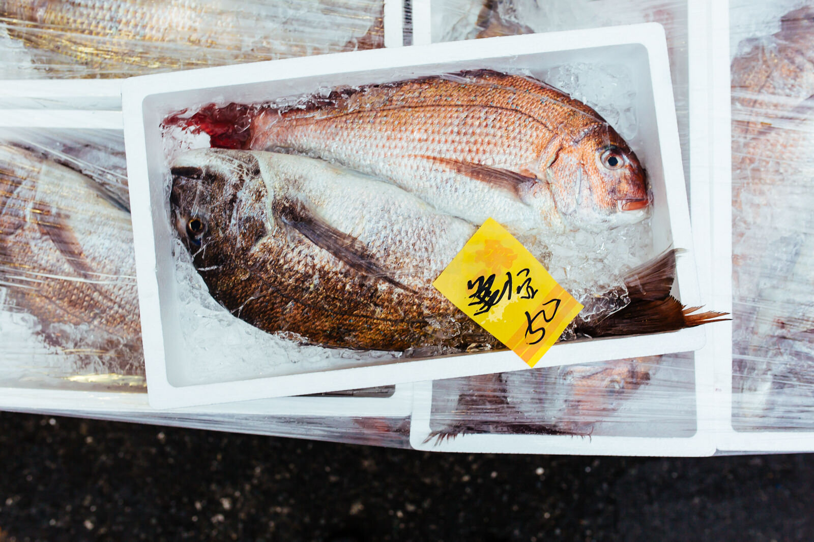 Tokyo-tsukiji-fish.jpg