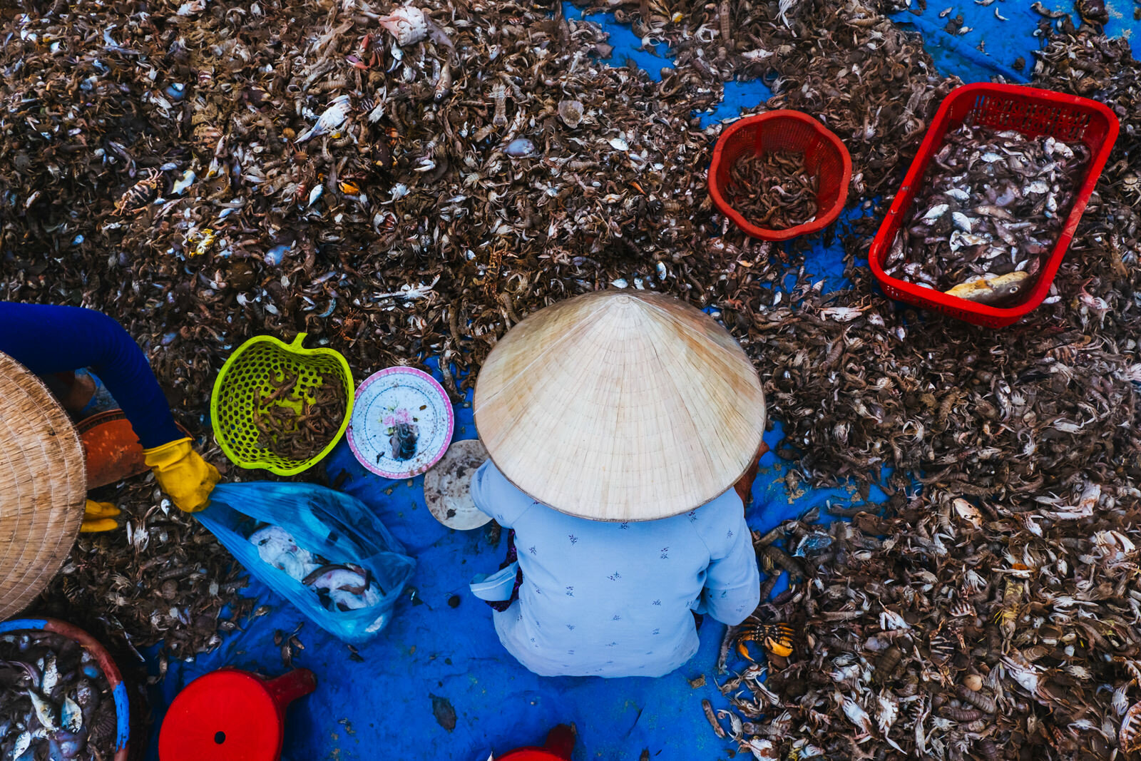 Vietnam-fish-market.jpg