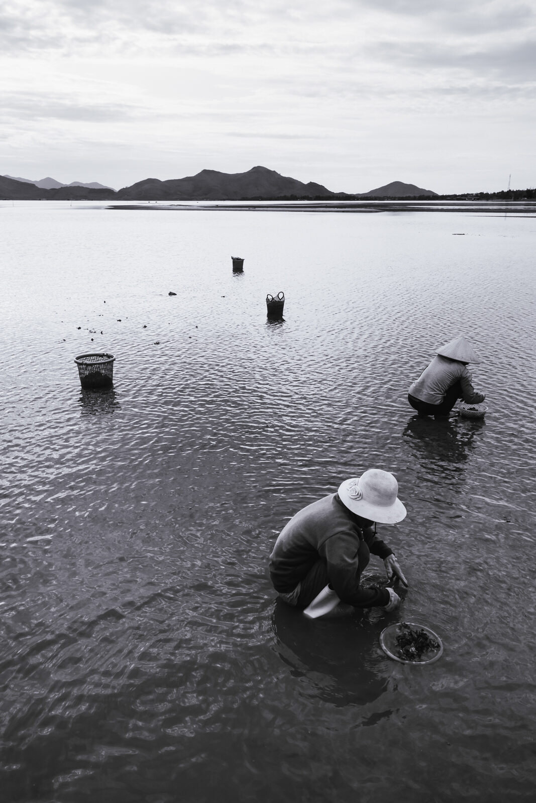 Vietnam-oyster-farming.jpg