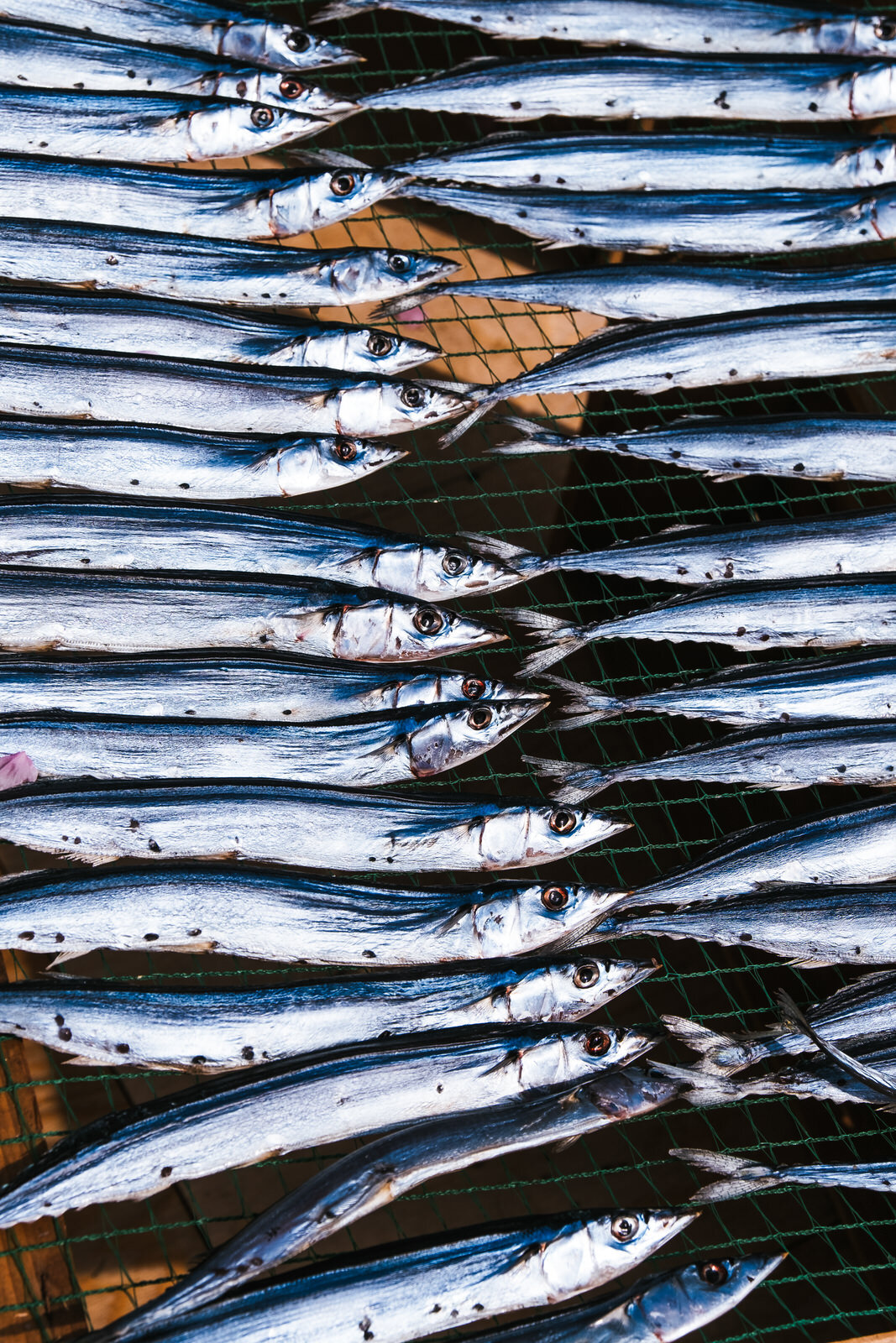 Japan-Food-fish.jpg