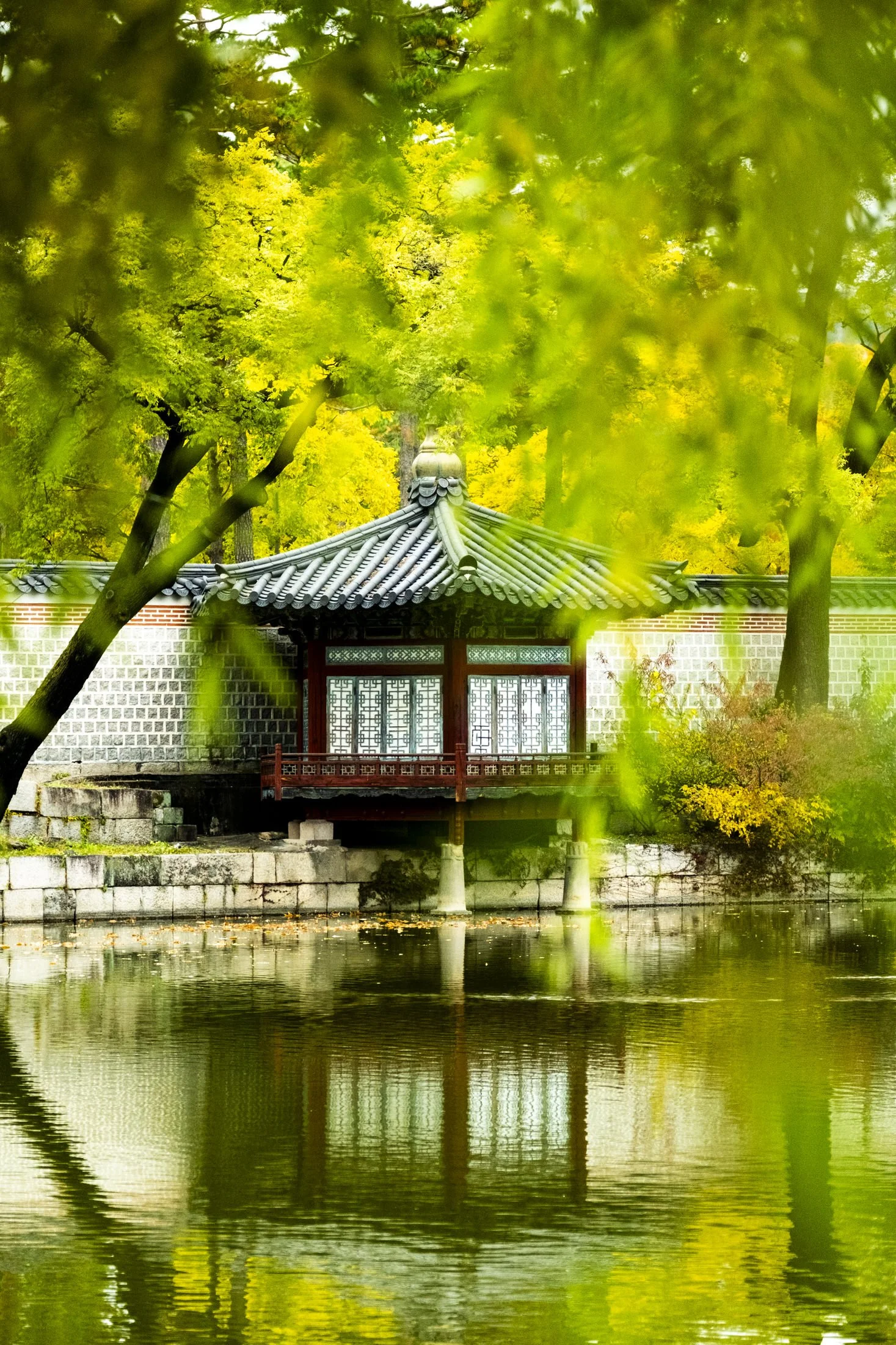 Faulk-Seoul-Korea.jpg