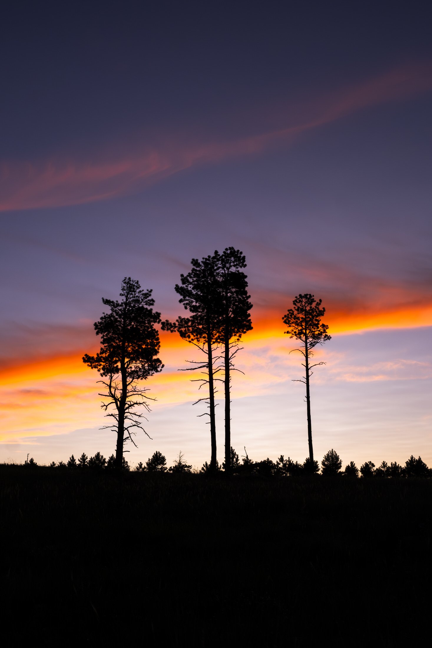 Vermejo-Scenic-2-17.jpg