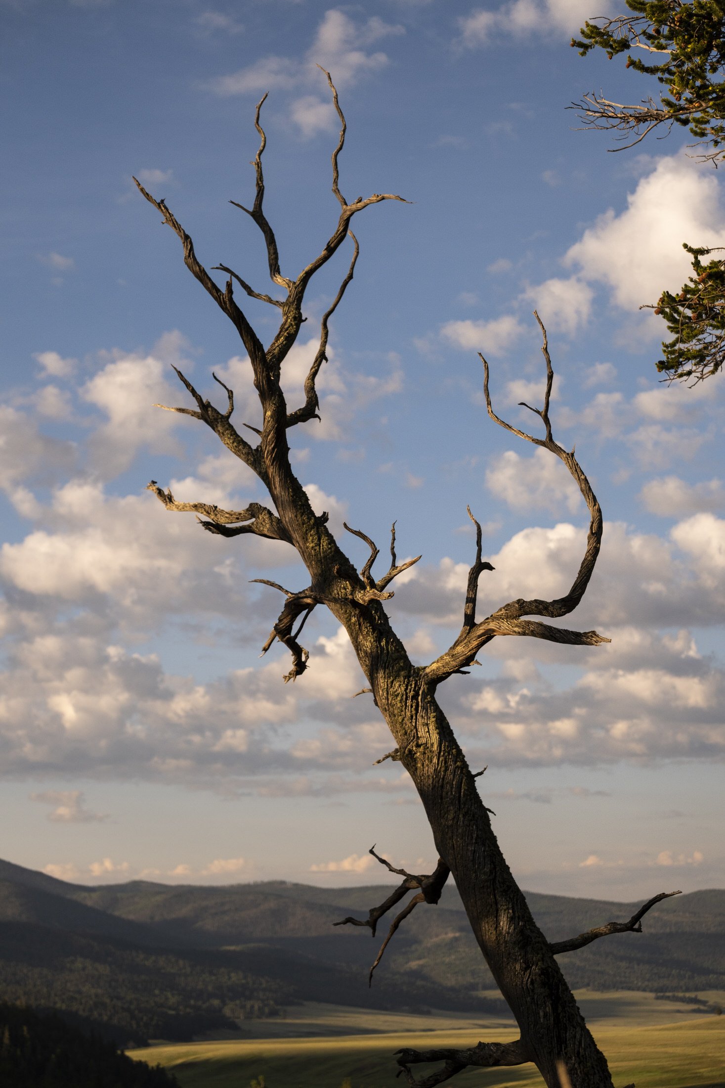 Vermejo-Scenic-0801.jpg